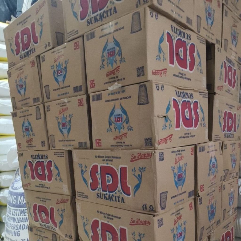 MINUMAN CUP SDL 1 DS (48 x 200 ml)