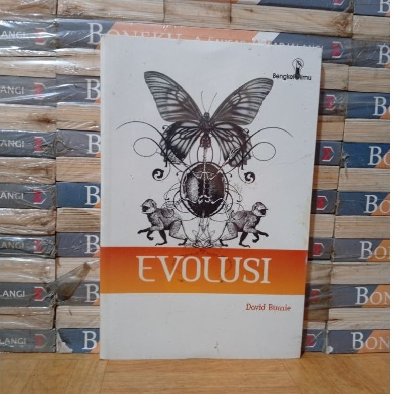 EVOLUSI DAVID BURNIE