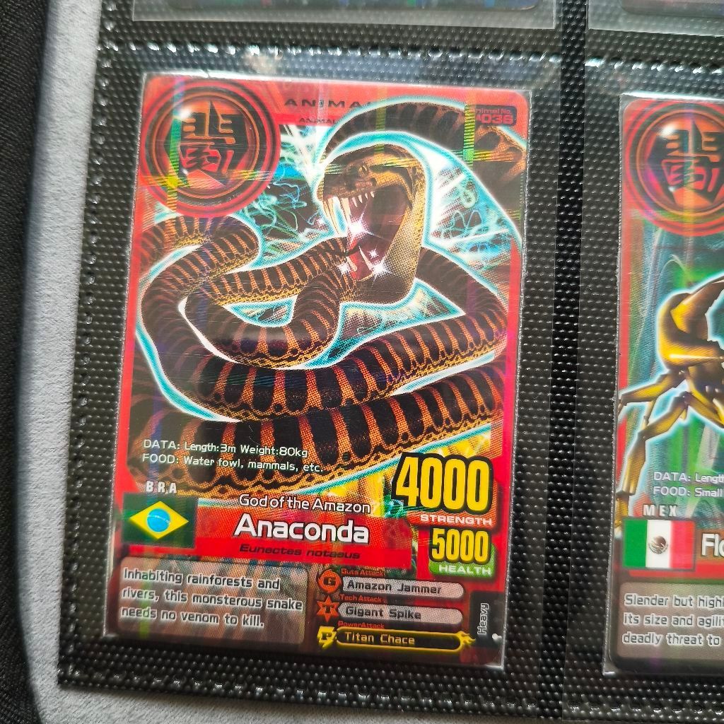Animal Kaiser Anaconda Evo 8 DX