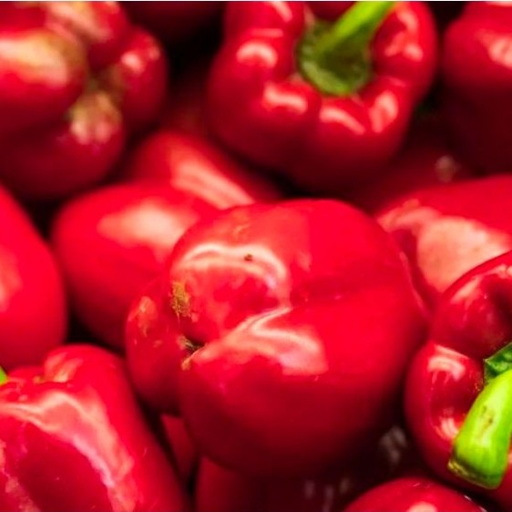 paprika merah 1kg