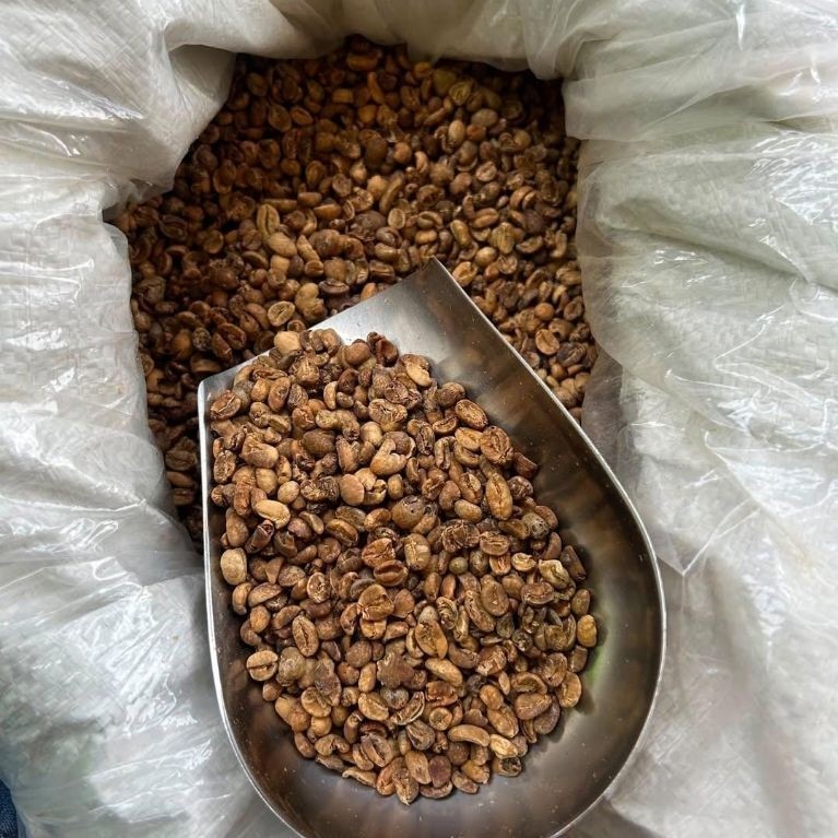 RUMAH HIJAU-1KG ARABIKA GAYO OC