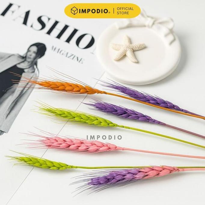 Allthebest- IMPODIO Bunga Gandum Kering Warna Warni | Solusi estetik visual konten | Properti foto p
