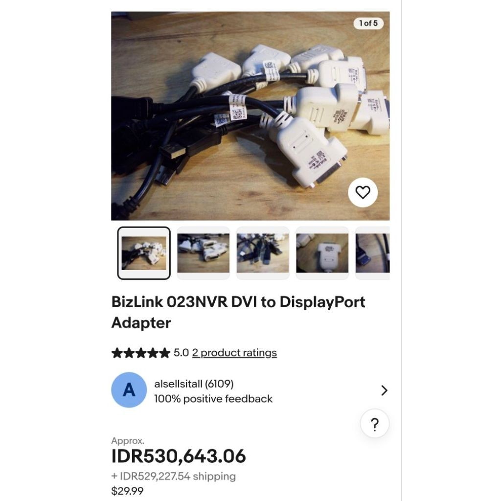 BizLink 023NVR DVIto DisplayPortAdapter