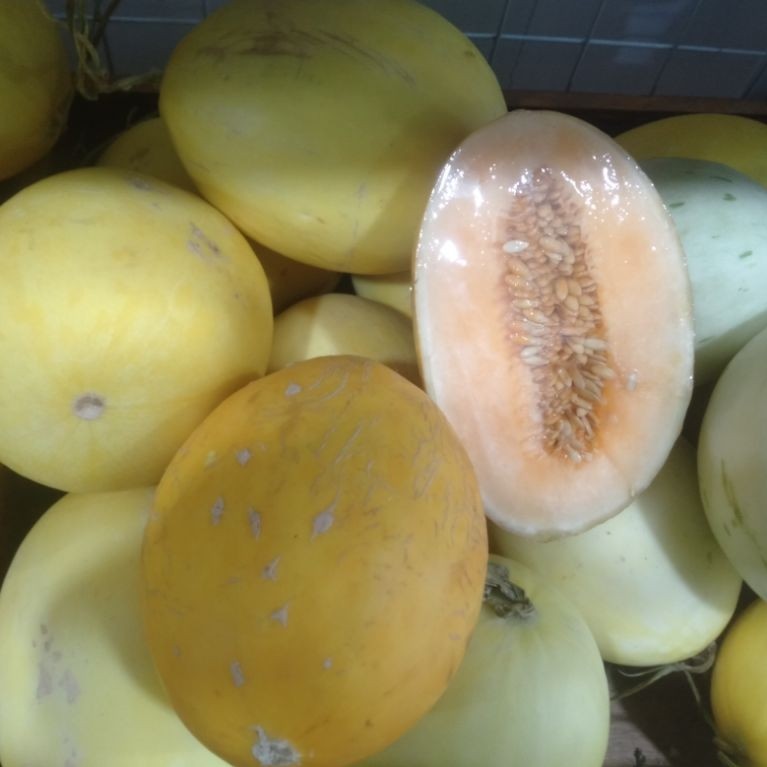 Buah Timun Mas segar 2kilogram