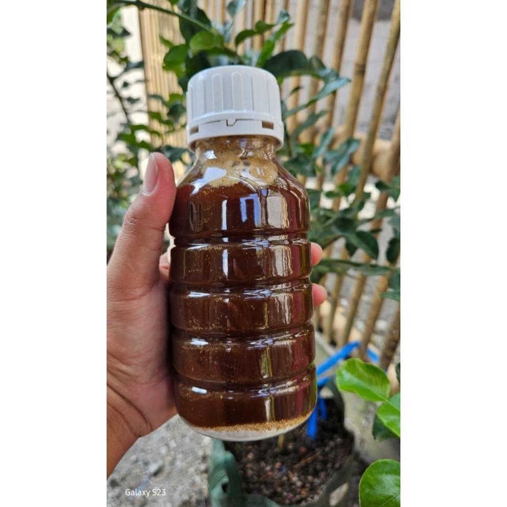 NEW Larutan PCO