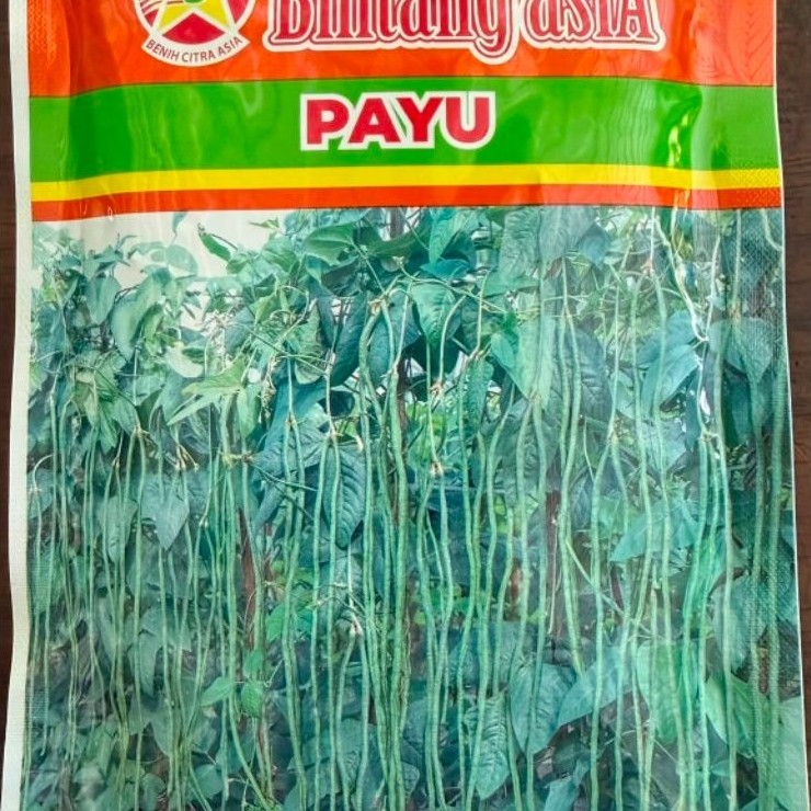 Benih Kacang Panjang PAYU 100 Gram Bintang Asia