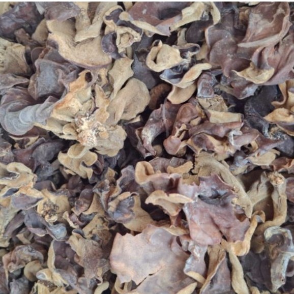 jamur tekwan 1 kg