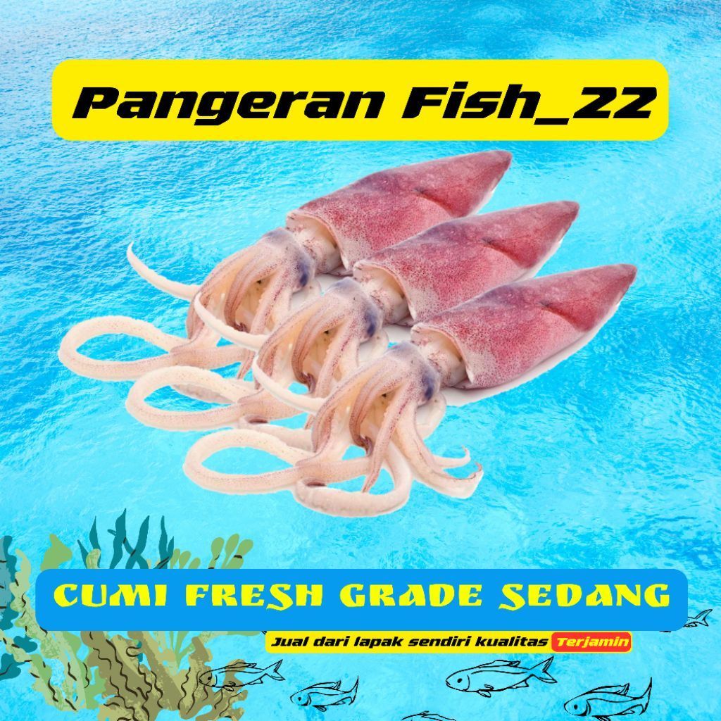 Cumi segar fresh - Palembang