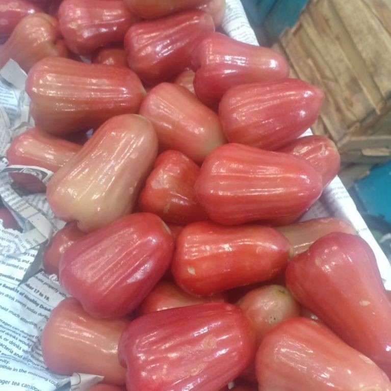 Jambu Citra Jambu Demak Jambu Air Merah 1kg Segar