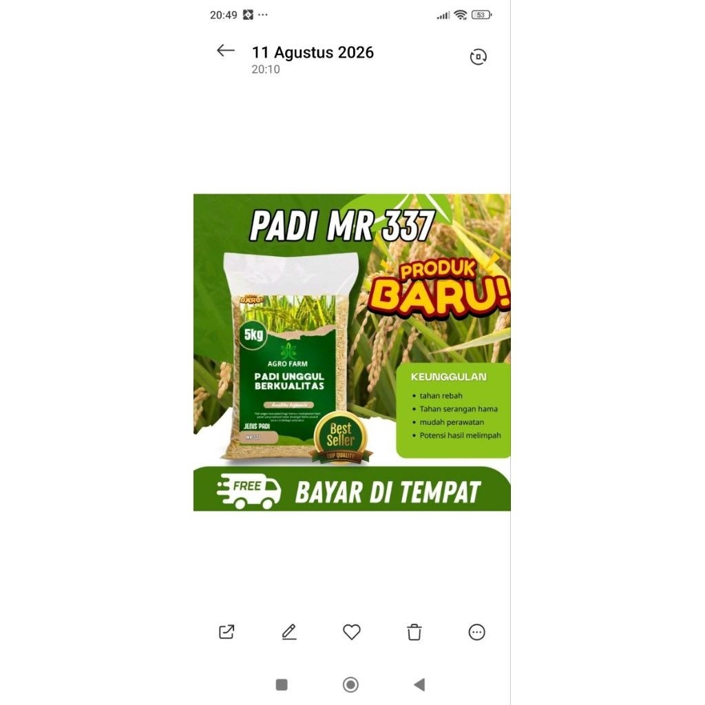 Benih Padi MR 337 Agro Farm 5kg Jenis Padi Produk Baru