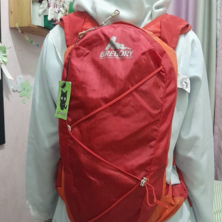 tas Gregory backpack