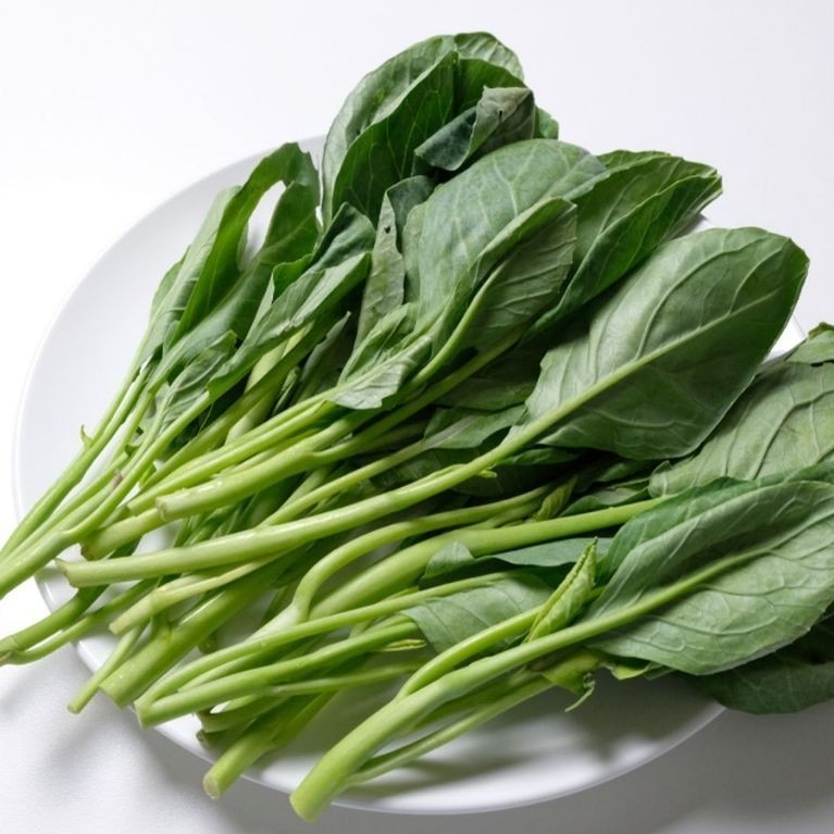 kailan sayur segar