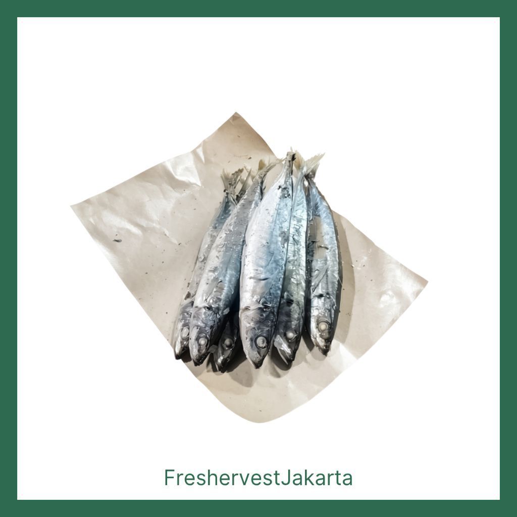 Ikan cue salem/pindang salem 1 ekor