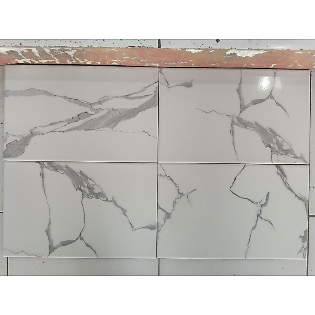 keramik 25x40 laguna bianco cararra/keramik dinding/glossy