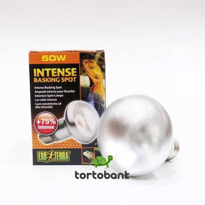 Promo Lampu Uva Exoterra Intense Basking Spot 50W - Lampu Reptil - Lampu Kura Darat - Lampu Tortoise