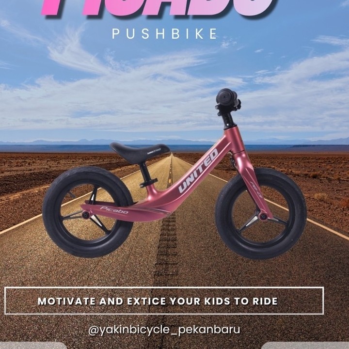 PUSHBIKE UNITED PICABO