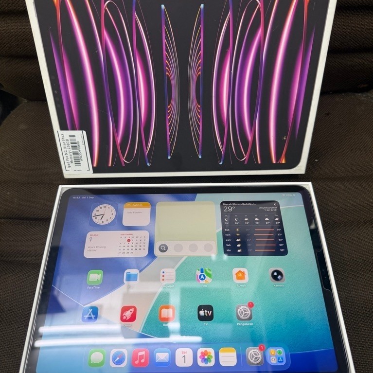 Ipad Pro M2 11" 256GB Wifi only Second ex garansi resmi