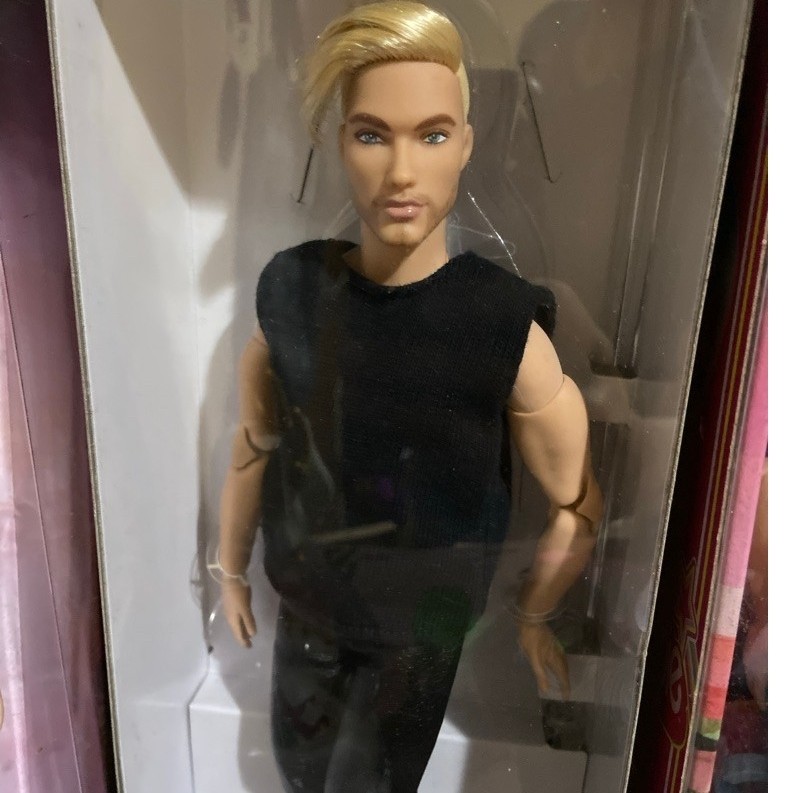 Barbie Ken Looks Sean