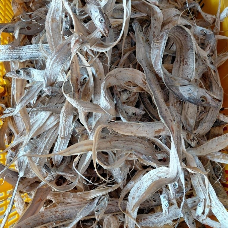 1KG Layur Tawar Kering / Gereh Layur Tawar Stok Terbaru Siap Kirim