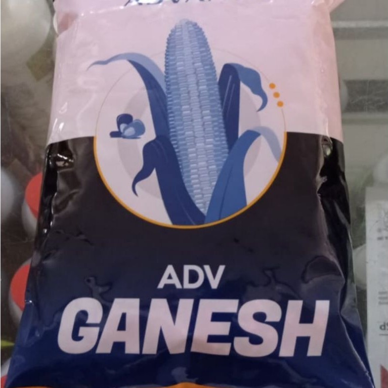 BENIH JAGUNG ADVANTA KEMASAN ADV BEJO 1KG JAMINAN ORIGINAL