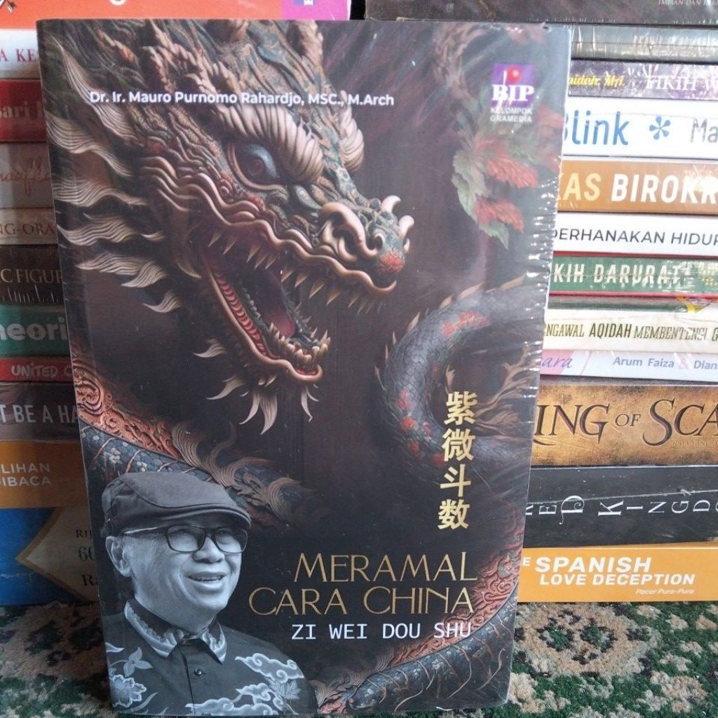 MERAMAL CARA CHINA ZI WEI DOU SHU