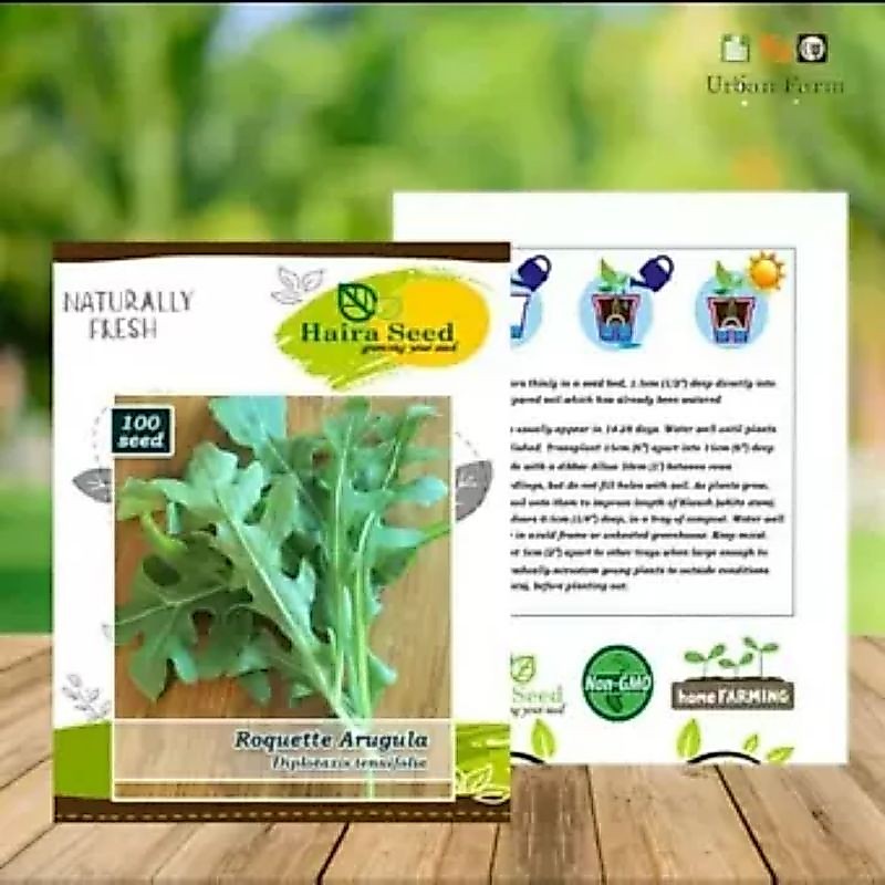 100 BUTIR BIJI ARUGULA ROQUETTE