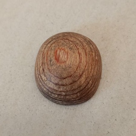 Kayu Kebak Nglurak PuserBumi Asli
