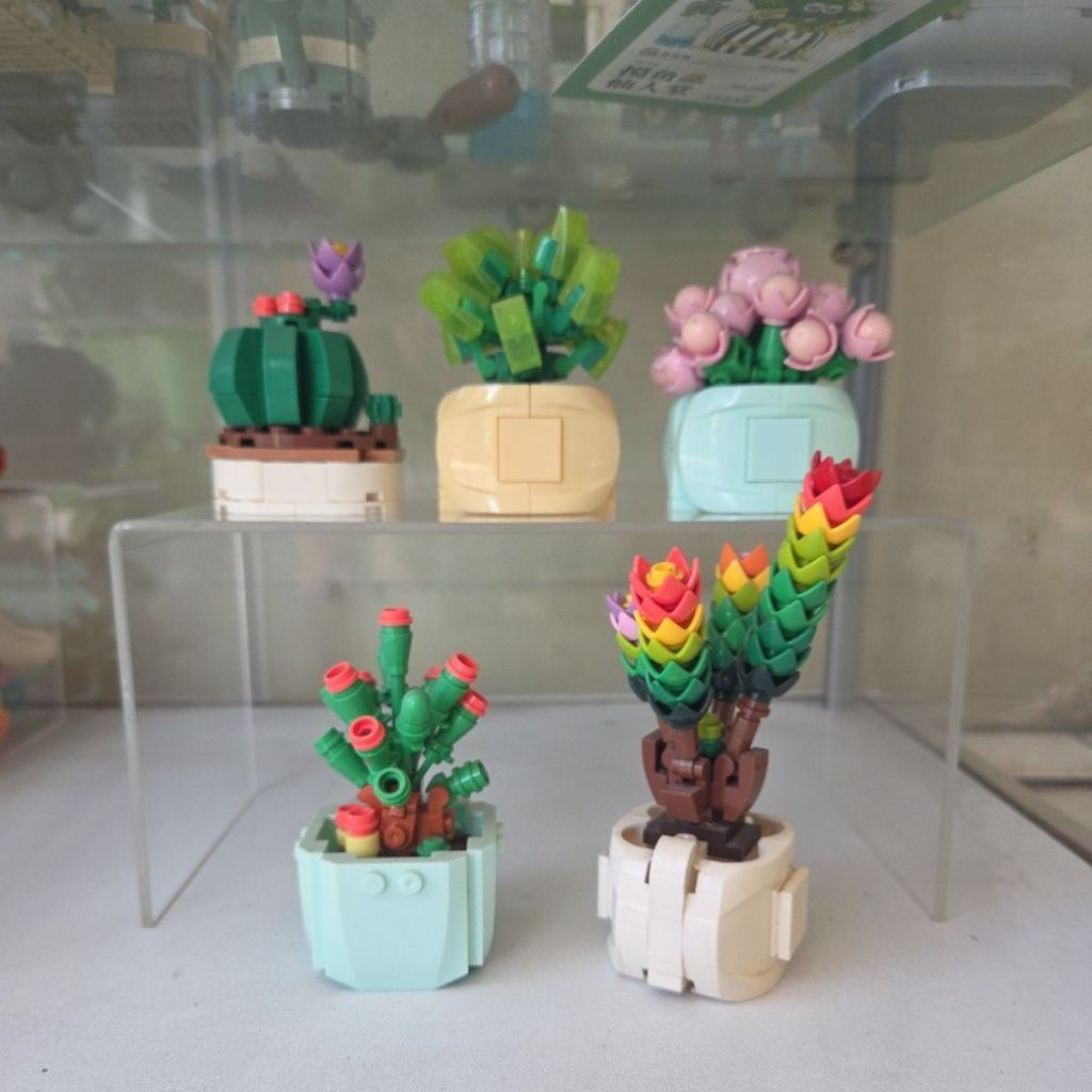 Bricks Succulents Preloved
