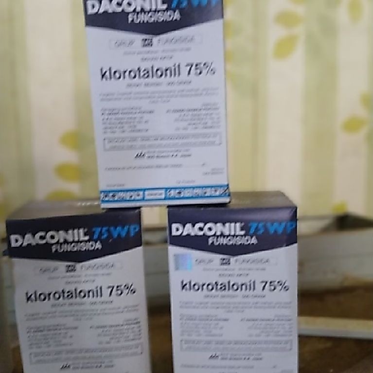 Fungisida Dakonil 500 Gram untuk berbagai tanaman