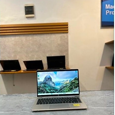 HP PROBOOK 445 G8 RYZEN 5  5600u