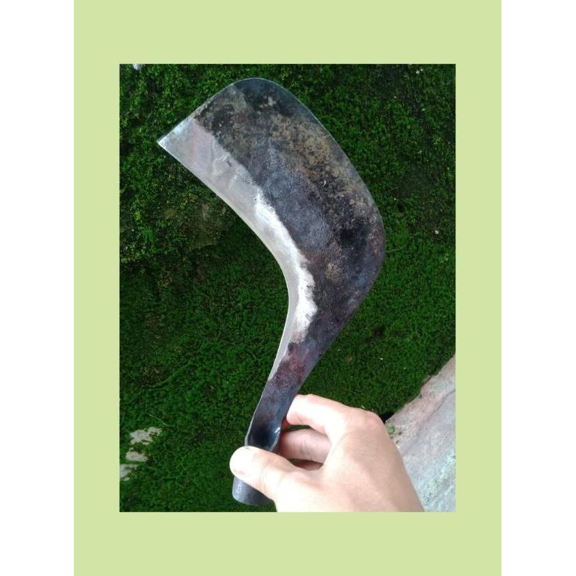 arit parang / ARIT bahan baja asli / sabit pertanian perkebunan