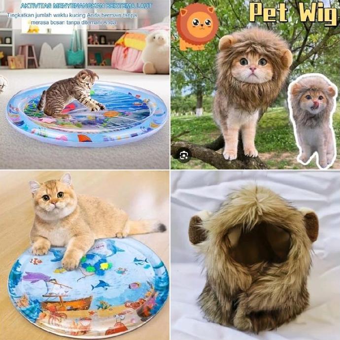 PREMIUM (COD)Mainan Kolam Kucing & Wig Kucing BONUS Sikat Pembersih Bulu Kucing 