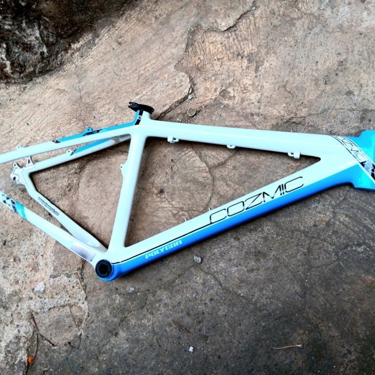 Bisa TT Frame Polygon Cozmic RX 2.0 Carbon