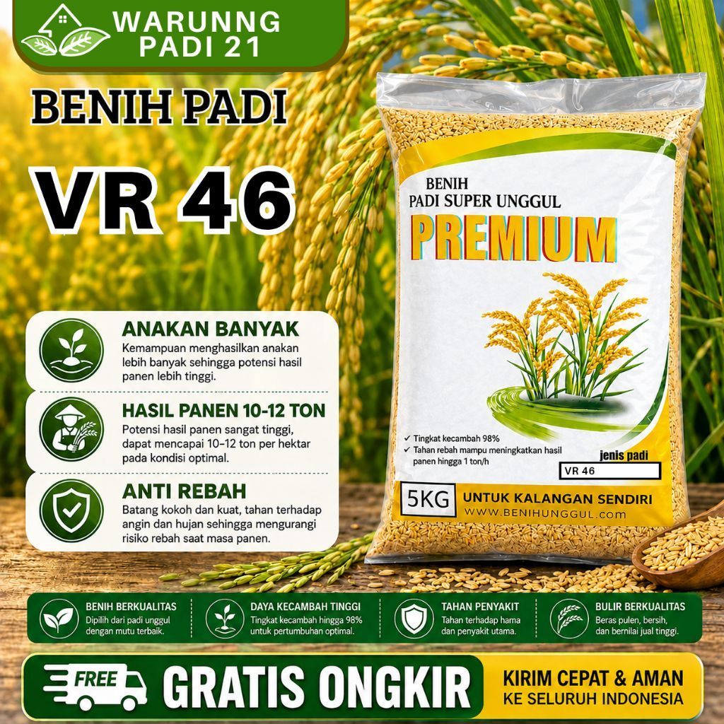 benih padi VR 46 benih padi unggul dan berkualitas 5kg