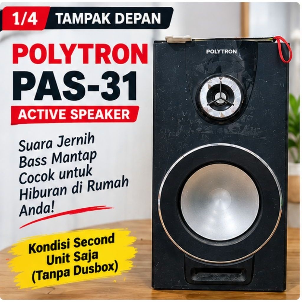 SECOND Polytron PAS-31 Active Speaker