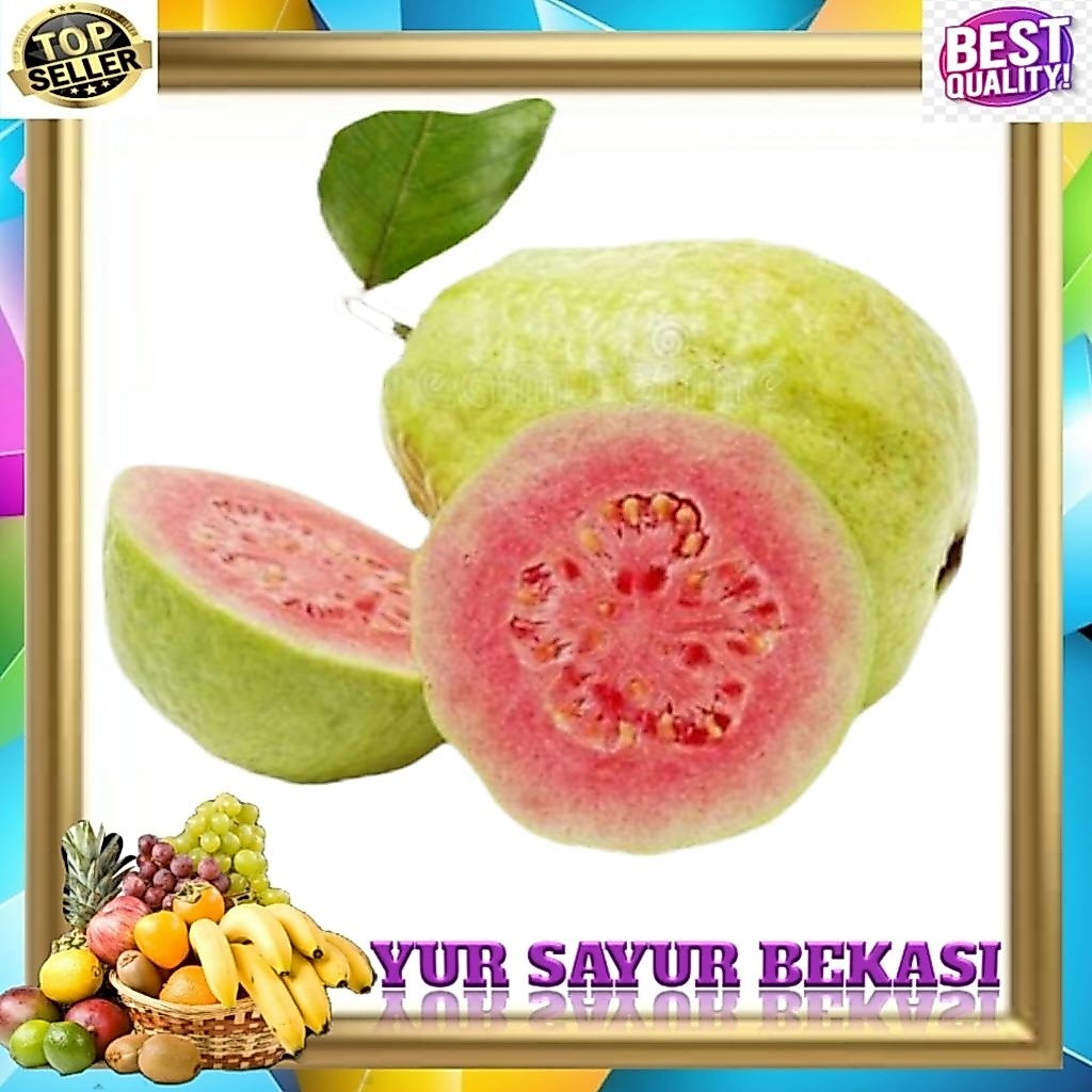 Jambu Biji 1Kg.