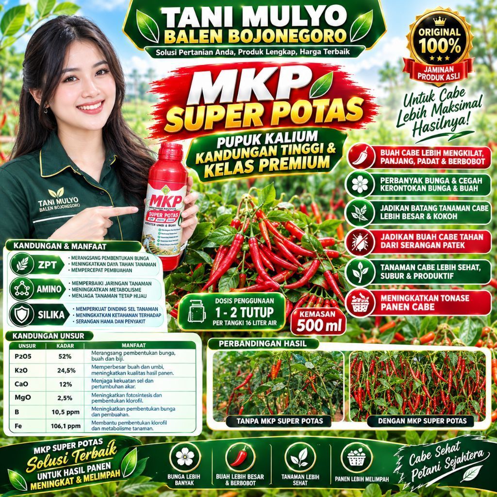 Pupuk Pelebat Buah Cabe MKP SUPER POTAS 500 ml + Silika + Amino Jadikan Tanaman Cabe banyak buahnya 