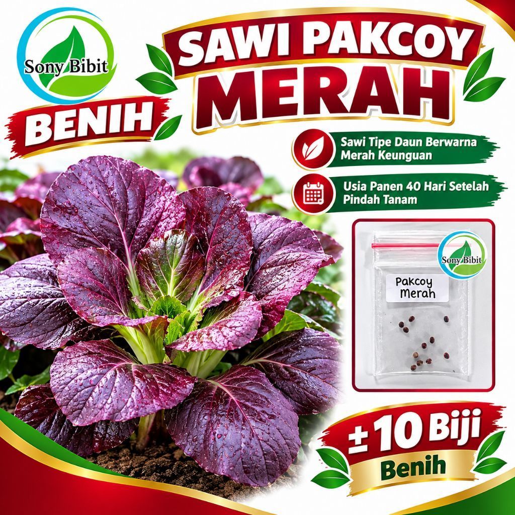 10 Biji Benih Pakcoy Merah / Pakcoy Ungu Kemasan Ekonomis