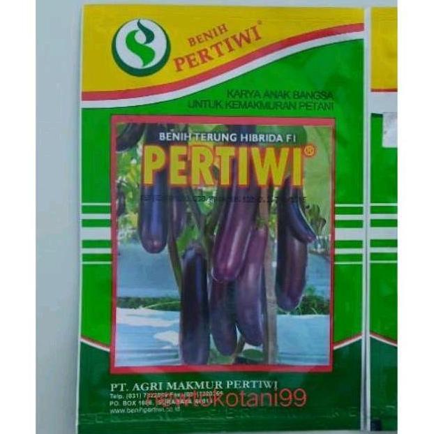 Benih Bibit Terong Ungu Hibrida Pertiwi F1 Terong Pertiwi Terung Ungu 5 Gram Tanaman