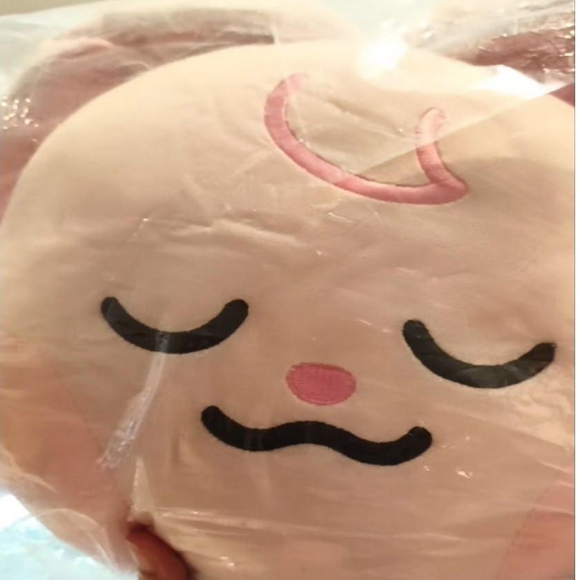 Boneka Dreamiez NCT Dream Line