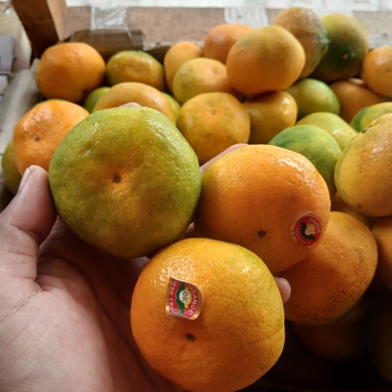 jaruk mandarin buah jeruk mandarin