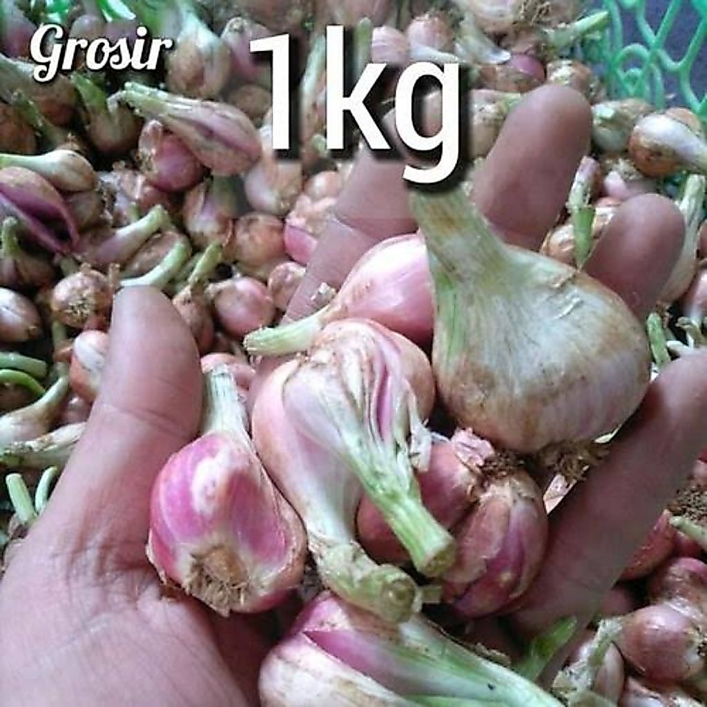 Bawang Merah Sumenep Mentah 1kg - Aroma Harum, Renyah, Manis