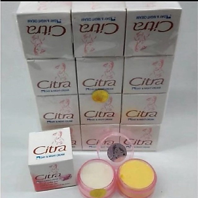 12PCS PELEMBAB CITRA SUSUN
