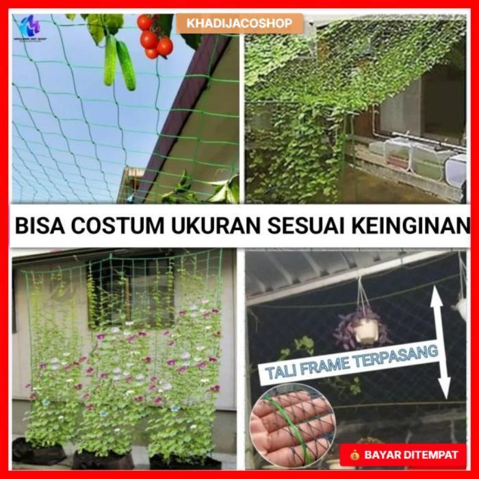 Jaring tanaman rambat buah/Jaring rambatan tanaman/Jaring tanaman merambat