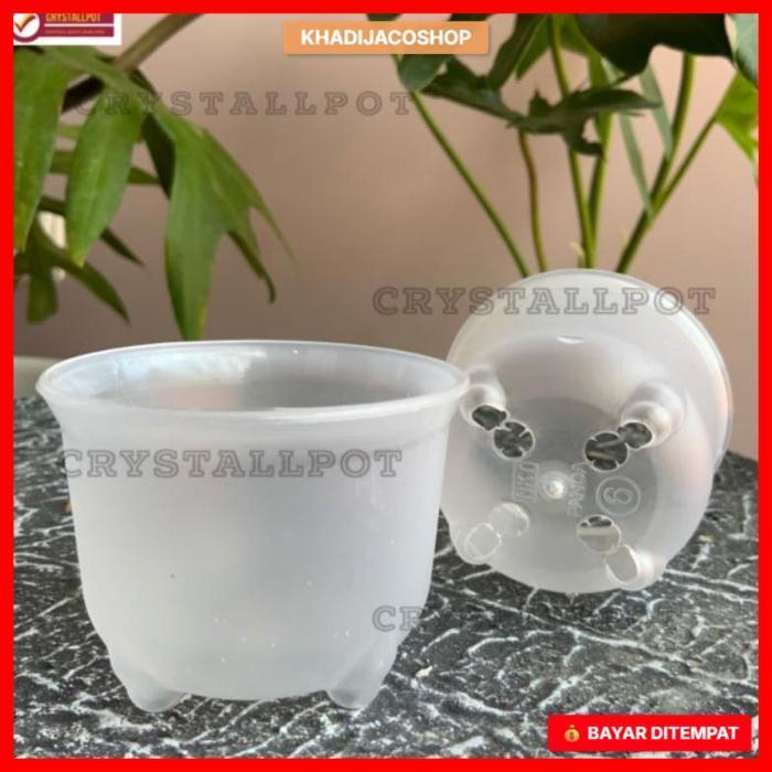 POT BUNGA TANAMAN NKT MINI PANDA 06 BENING TRANSPARAN - NKT PANDA 06 BENING