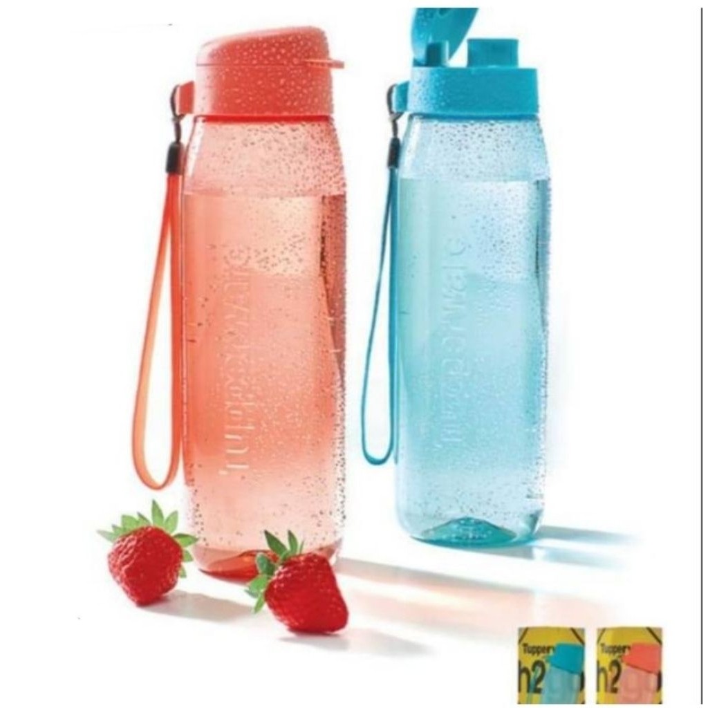 Eco Bottle 750 ml dan H2go Tupperware (1)