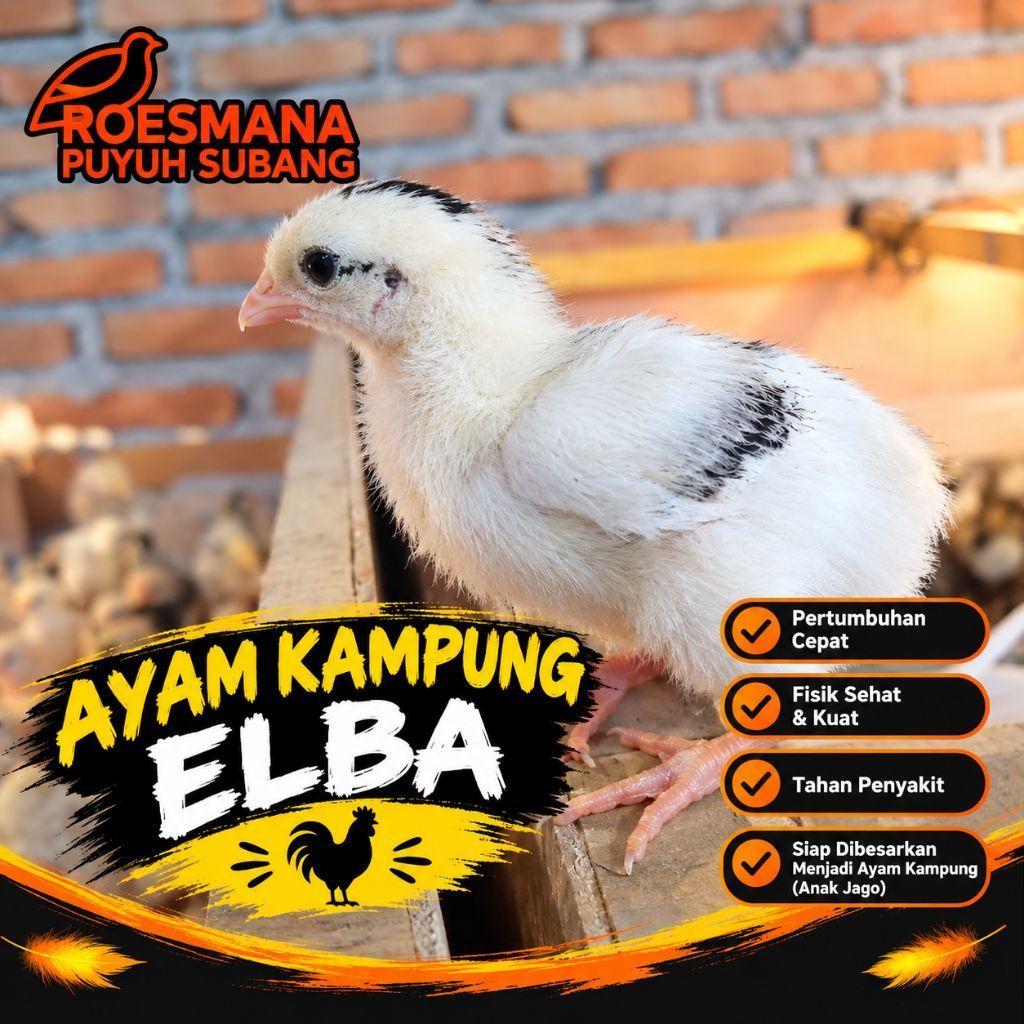 DOC KAMPUNG ELBA