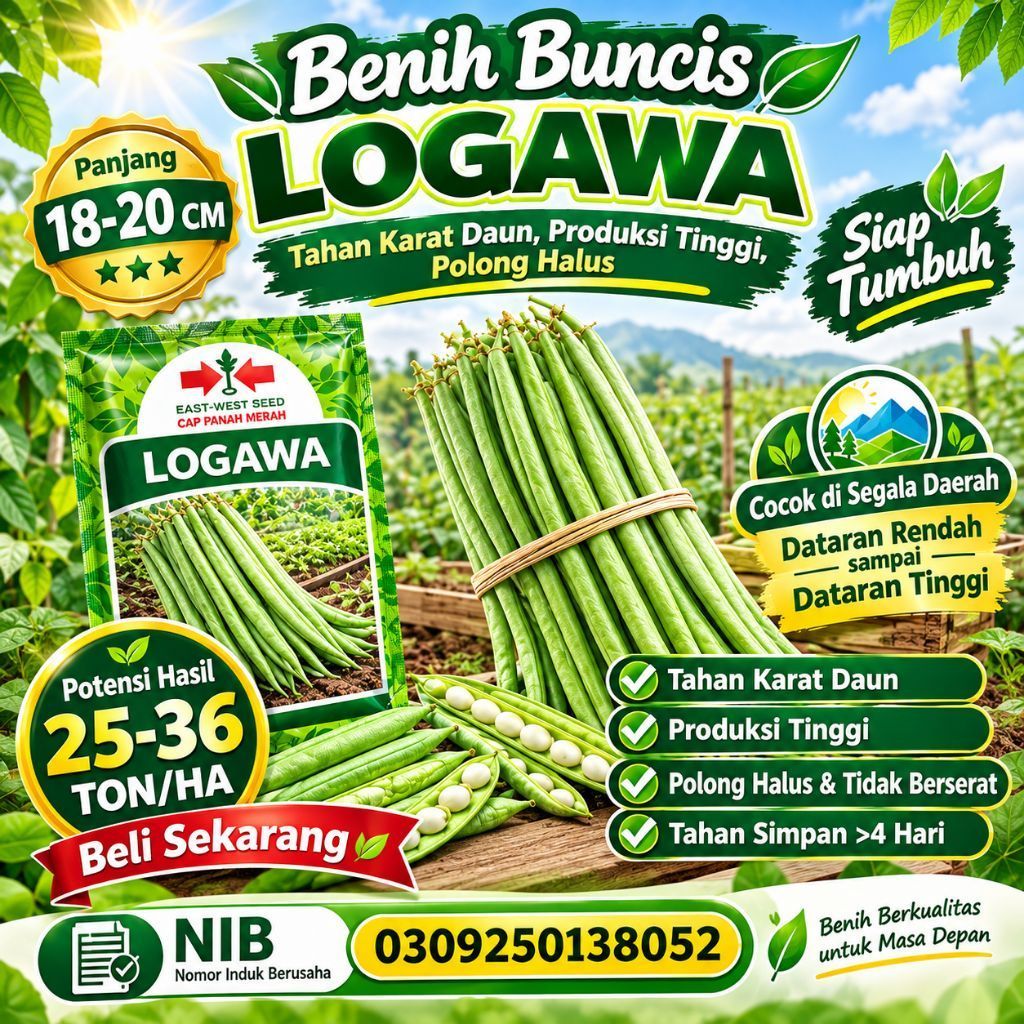 Benih Buncis [ LOGAWA ] 1 kg