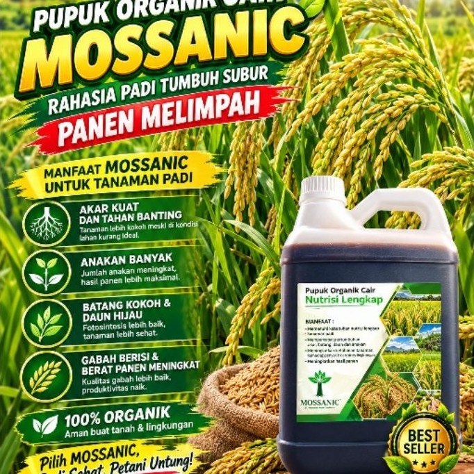 pupuk organik cair MOSSANIC untuk Padi