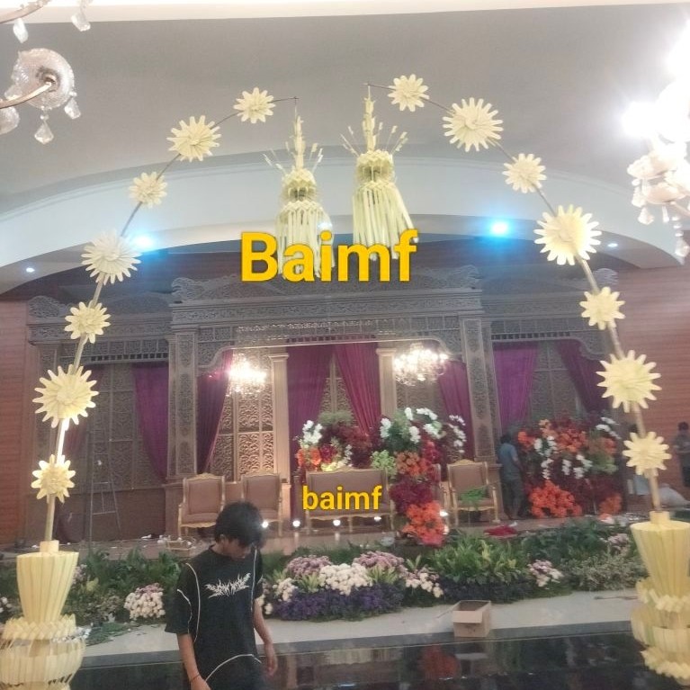 Janur kuning  asli/janur kipas/ janur lorong